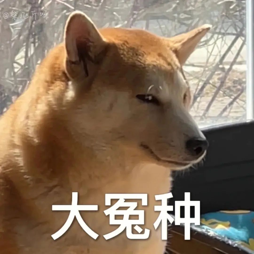 什么三观？王思聪前女友“甜仇”宣扬未婚生子_绅士次元