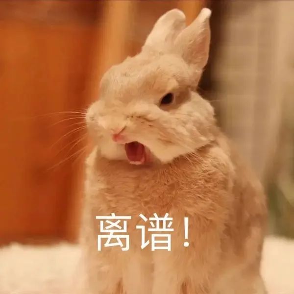 ?情侣月花销1500，抠男真的好下头_绅士次元