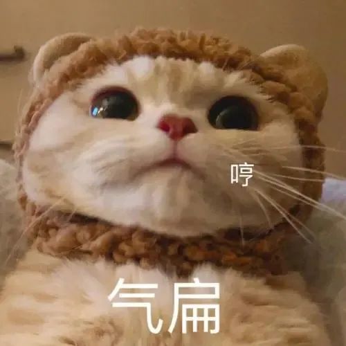 吃瓜群热议：25岁网红金洋jyan自曝肝癌晚期，这也能作假？_绅士次元