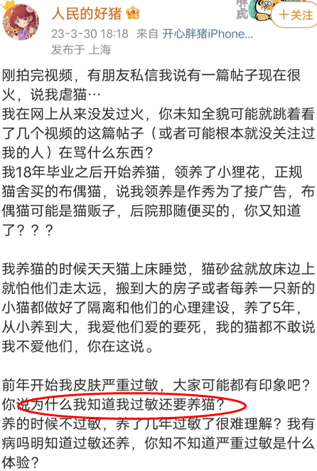 吃瓜：百万宠物博主宝剑嫂虐猫风波，受众到底是谁？_绅士次元