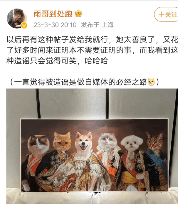 吃瓜：百万宠物博主宝剑嫂虐猫风波，受众到底是谁？_绅士次元