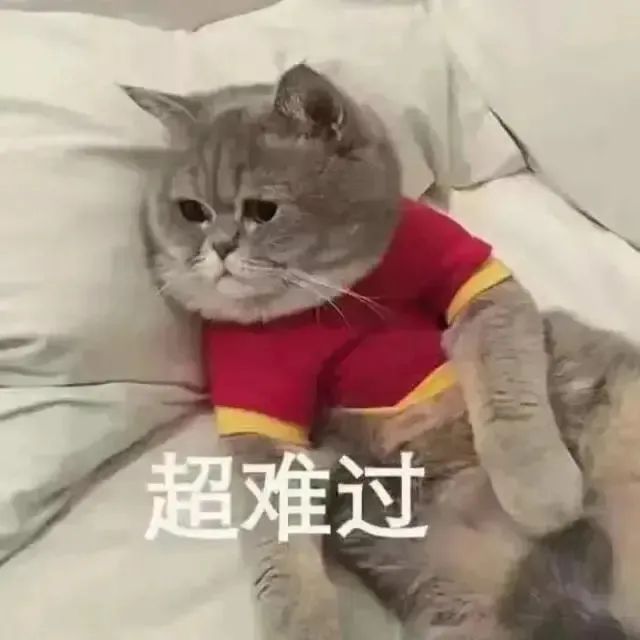 吃瓜：百万宠物博主宝剑嫂虐猫风波，受众到底是谁？_绅士次元