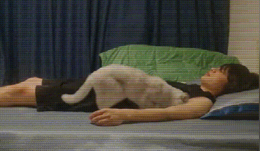 吃瓜：百万宠物博主宝剑嫂虐猫风波，受众到底是谁？_绅士次元
