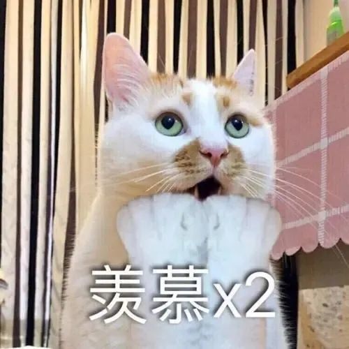 吃瓜：网红靠撞脸吴签走红，也要走老路？_绅士次元