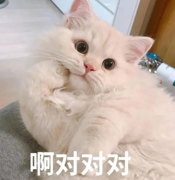 吃瓜：网红靠撞脸吴签走红，也要走老路？_绅士次元