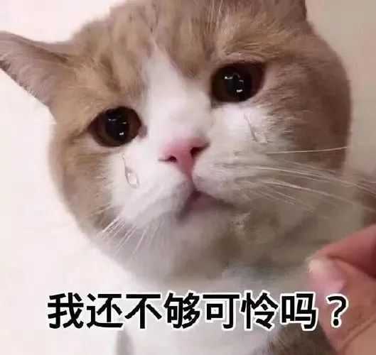 网红彭十六官宣恋情，竟还有非法拘禁的瓜？_绅士次元