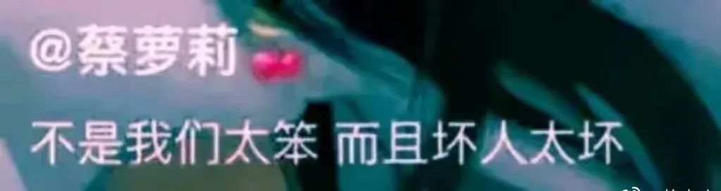 诈骗头部网红两个亿，这公司竟才破产？_绅士次元