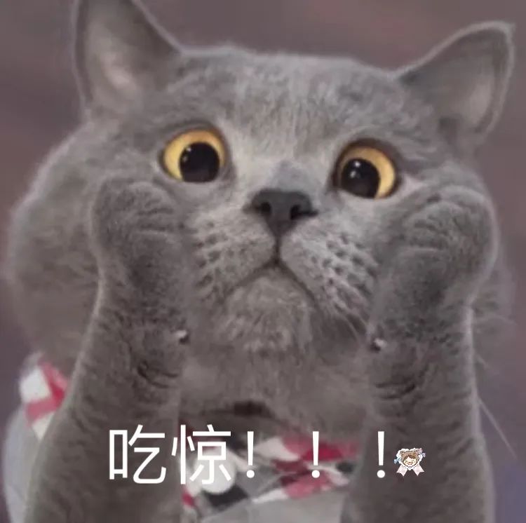 李佳琦助理疑似换头，资源匹敌迪丽热巴？_绅士次元