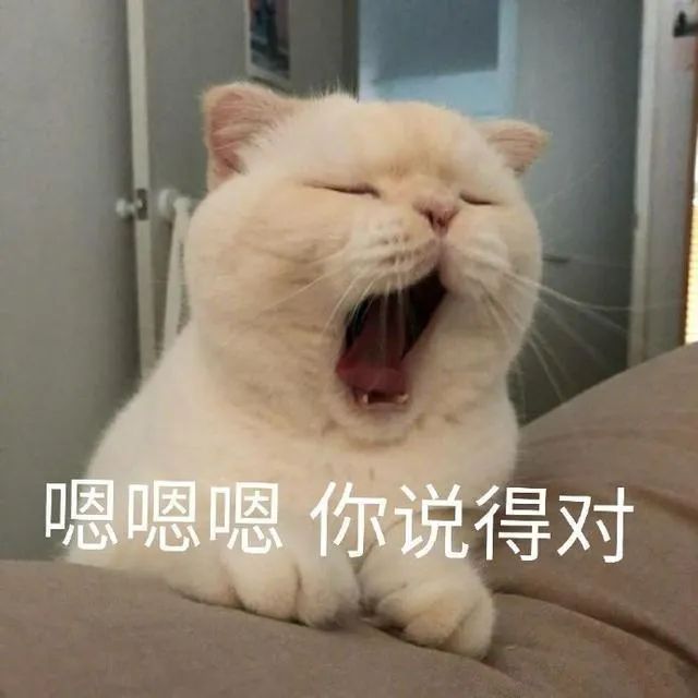 清华网红捐精记——普信男与娇妻女网暴医生的闹剧_绅士次元