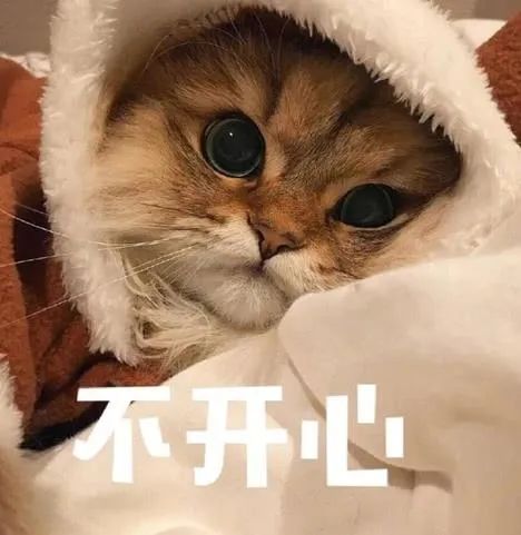 清华网红捐精记——普信男与娇妻女网暴医生的闹剧_绅士次元