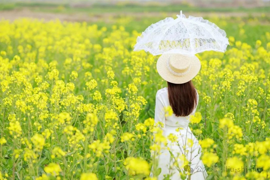 手机怎么拍好油菜花人像？拍照技巧和姿势，都在这里了_绅士次元