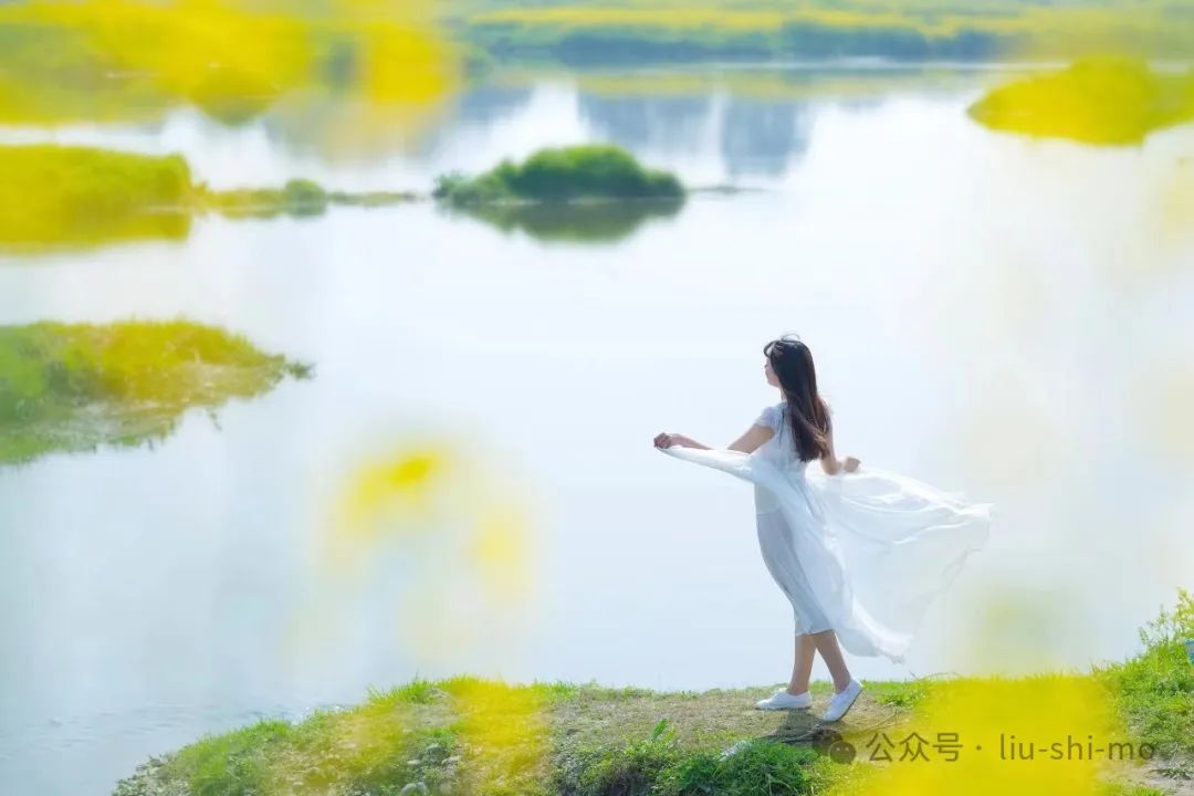 手机怎么拍好油菜花人像？拍照技巧和姿势，都在这里了_绅士次元