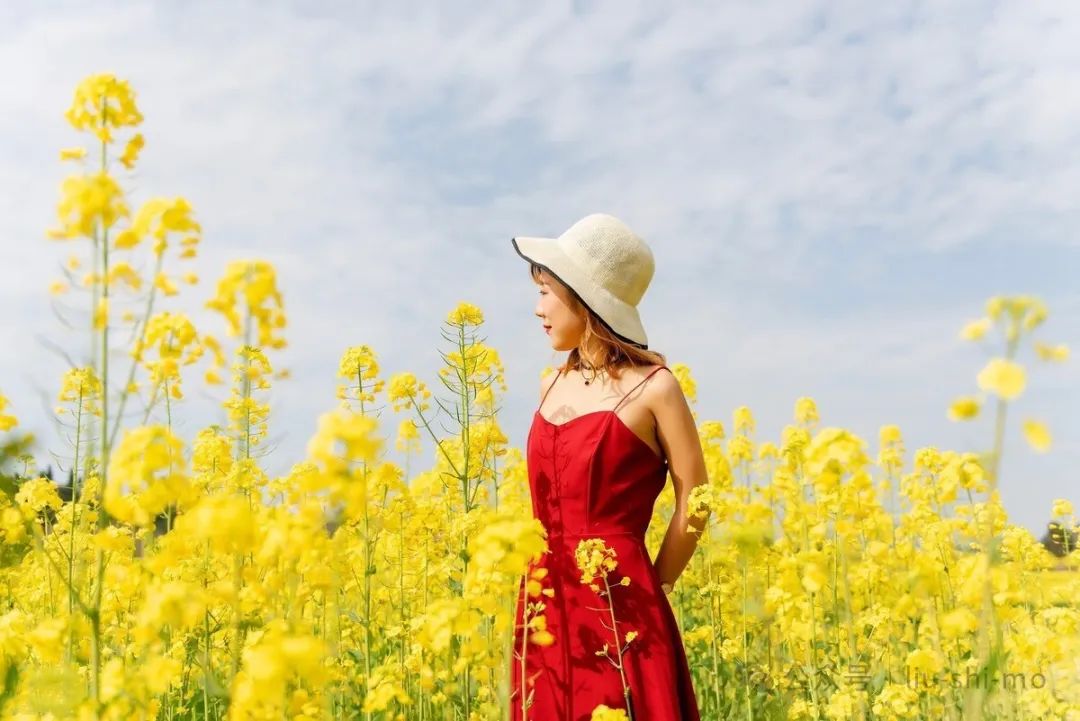 手机怎么拍好油菜花人像？拍照技巧和姿势，都在这里了_绅士次元