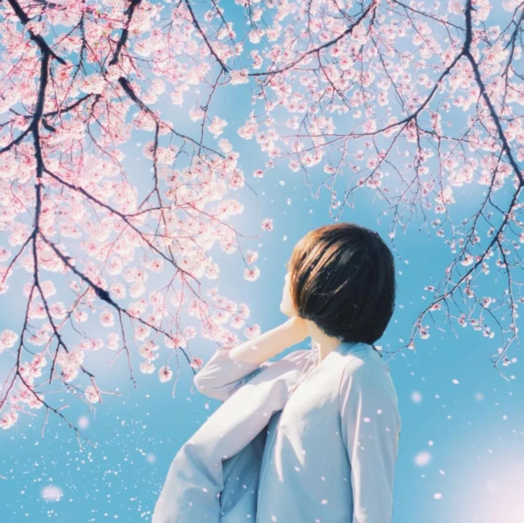 春季拍花、拍人像都能用的万能拍照技巧！_绅士次元