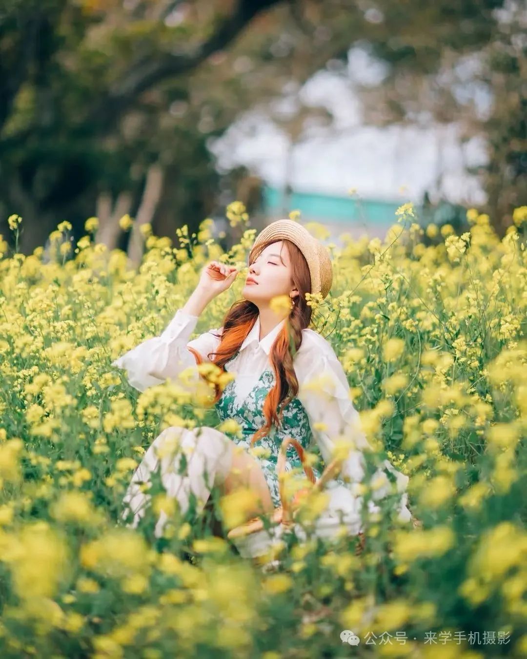 6个油菜花海摄影技巧，新手快来直接模仿吧_绅士次元