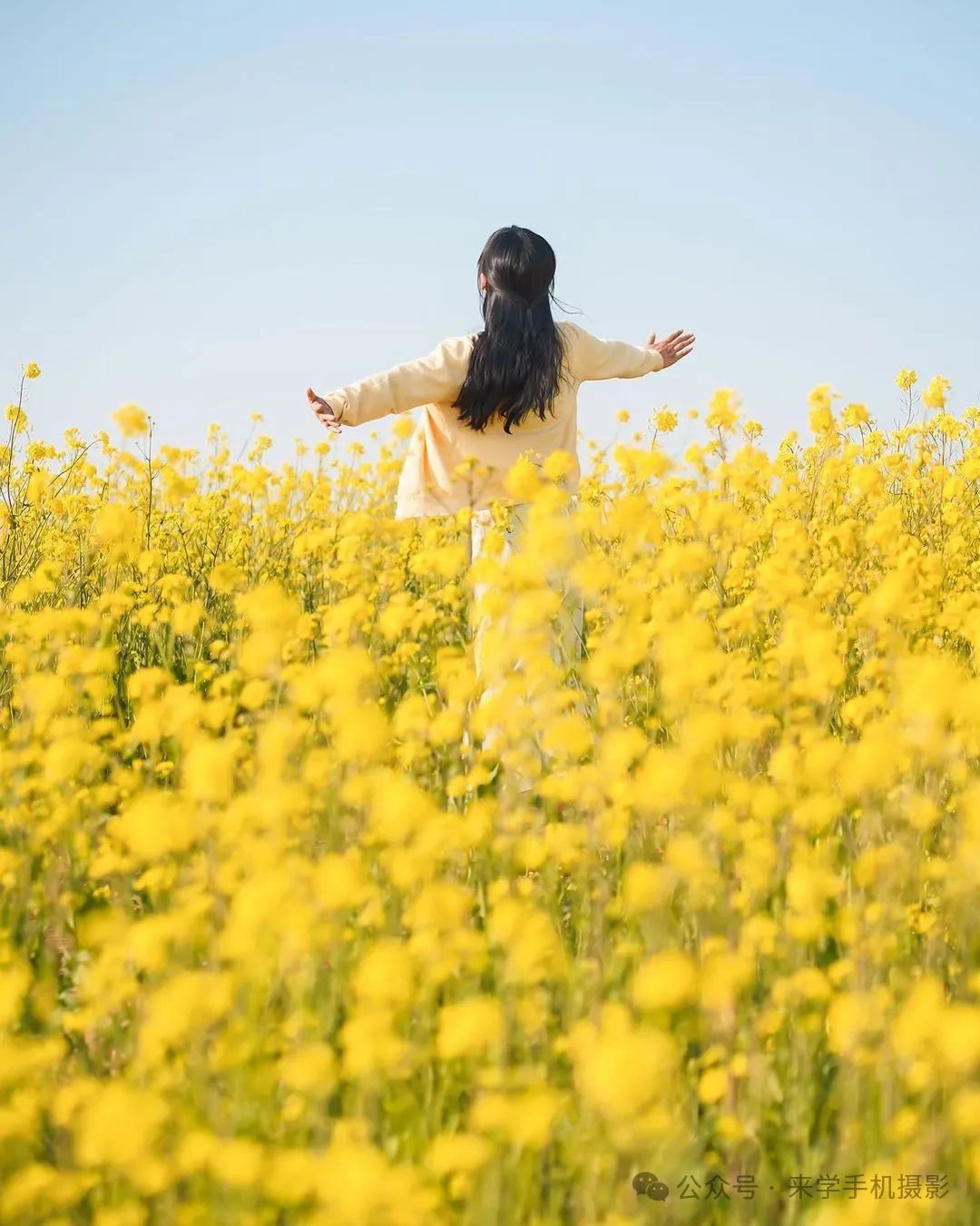 6个油菜花海摄影技巧，新手快来直接模仿吧_绅士次元