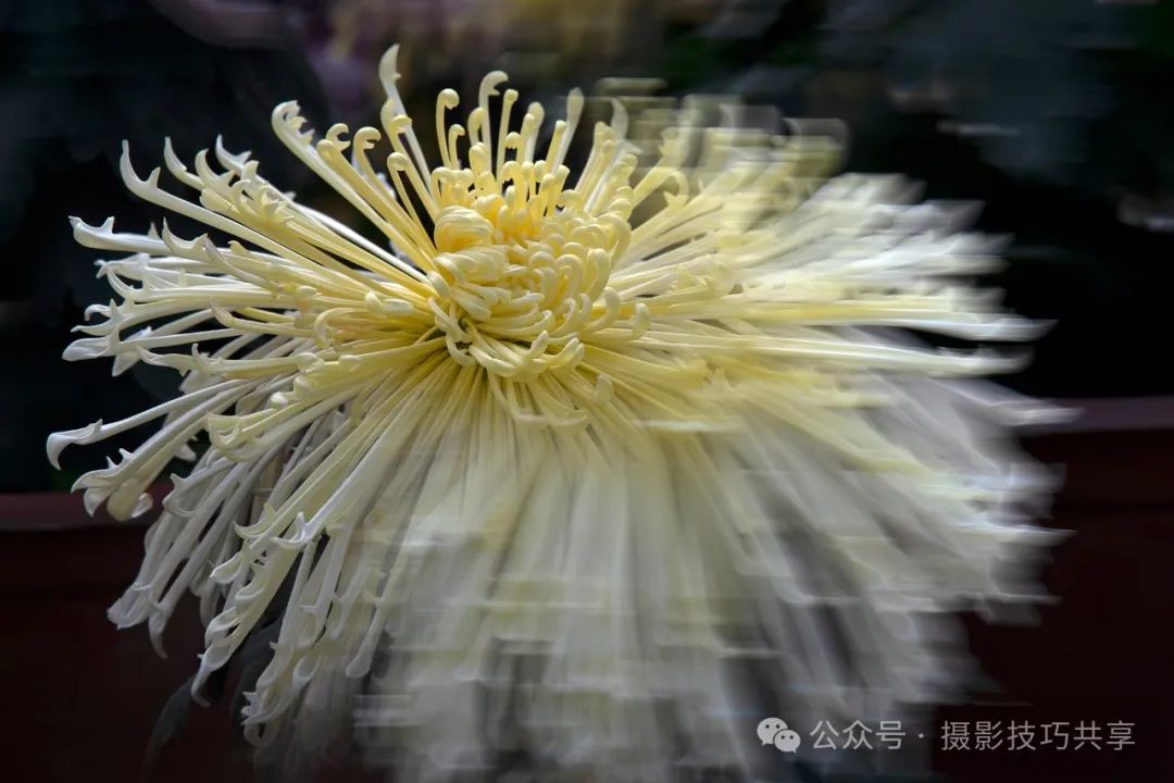 摄影技巧 | 拉曝（变焦放射）摄影的五个基本要领_绅士次元