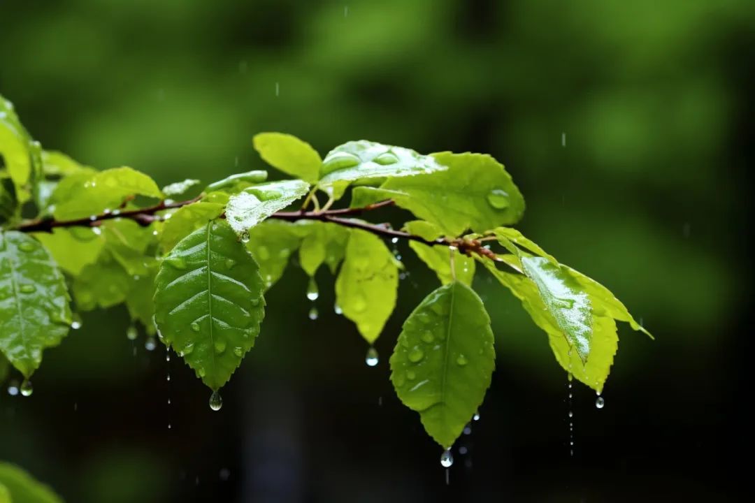 下雨天怎么拍才美？5个春雨的拍摄技巧！_绅士次元