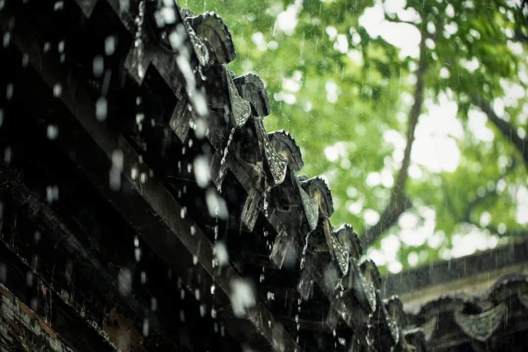 下雨天怎么拍才美？5个春雨的拍摄技巧！_绅士次元