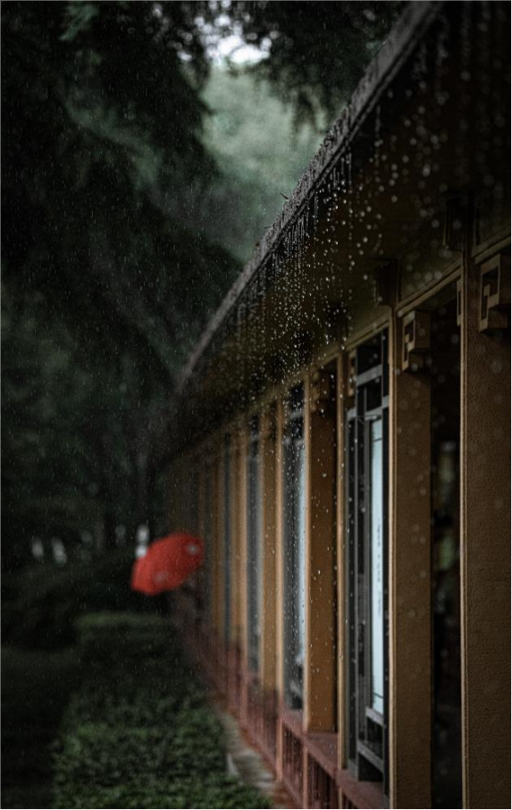 下雨天怎么拍才美？5个春雨的拍摄技巧！_绅士次元