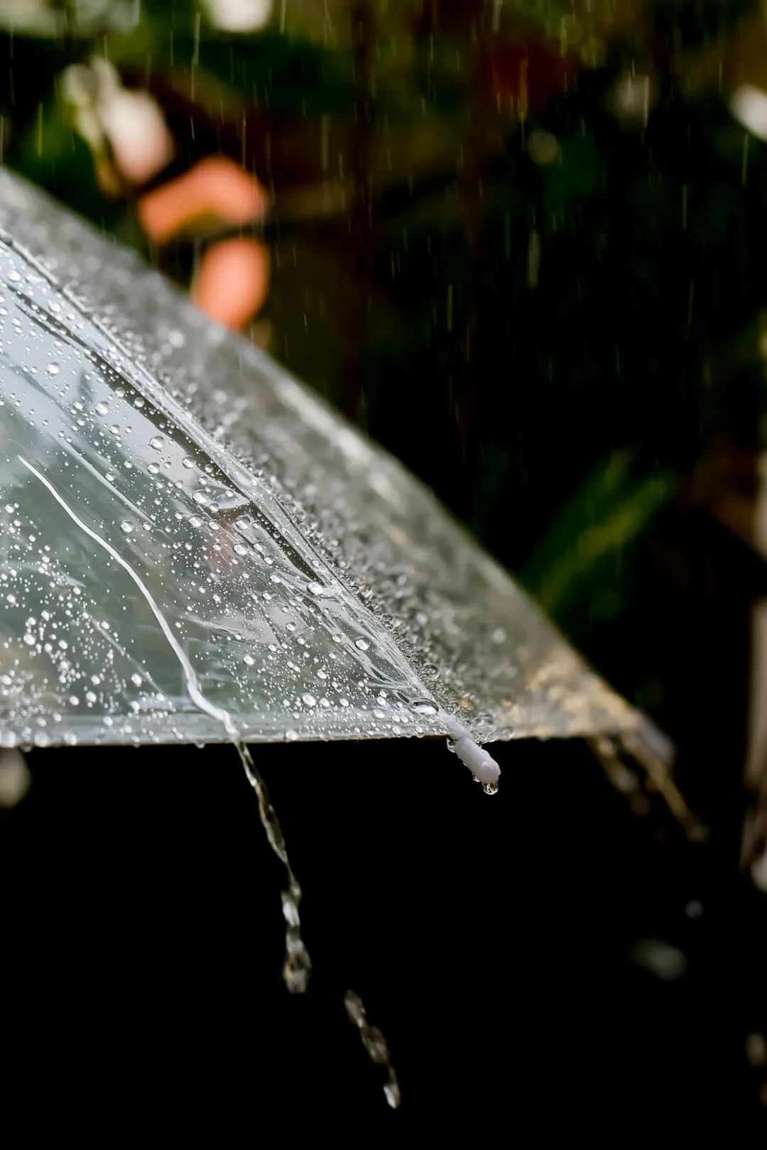 下雨天怎么拍才美？5个春雨的拍摄技巧！_绅士次元