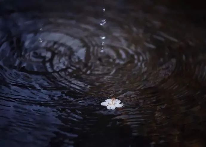 下雨天怎么拍才美？5个春雨的拍摄技巧！_绅士次元