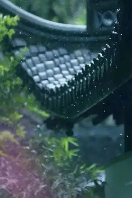 下雨天怎么拍才美？5个春雨的拍摄技巧！_绅士次元