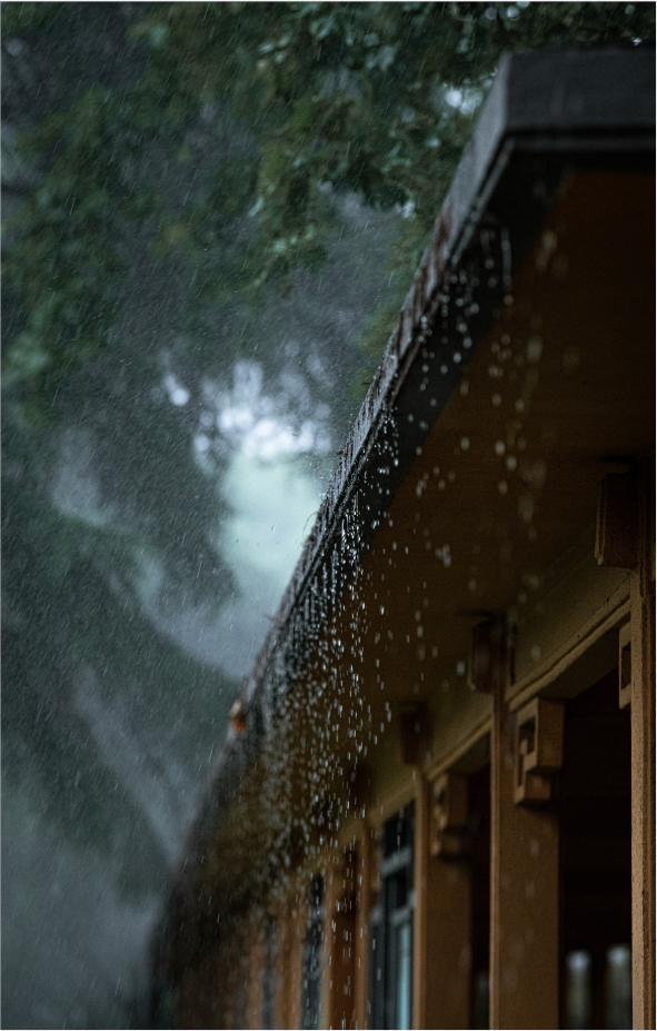 下雨天怎么拍才美？5个春雨的拍摄技巧！_绅士次元