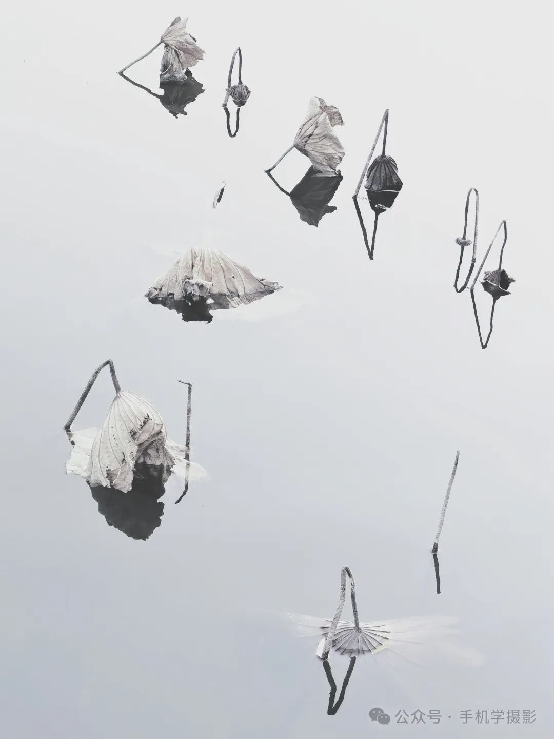 掌握光影拍摄技巧，让你的照片充满魅力！_绅士次元
