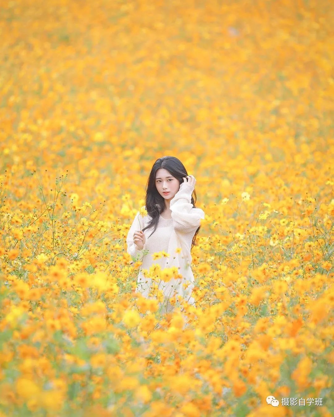 这六个春天花朵摄影技巧帮你称霸朋友圈_绅士次元
