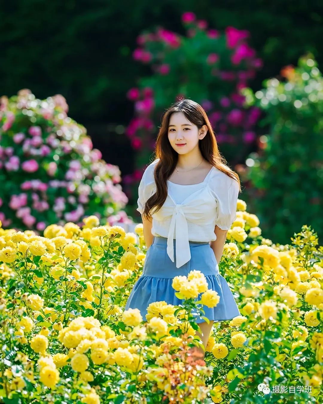 这六个春天花朵摄影技巧帮你称霸朋友圈_绅士次元