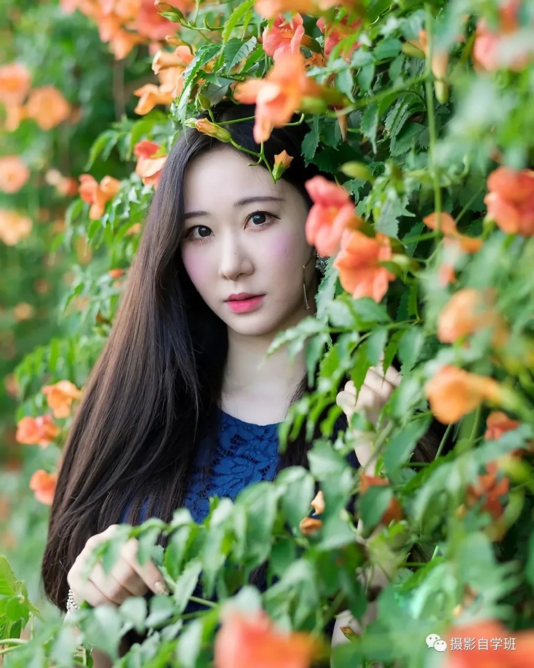 这六个春天花朵摄影技巧帮你称霸朋友圈_绅士次元