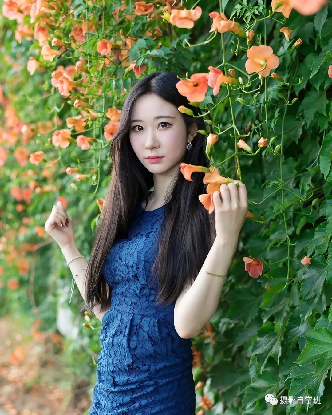 这六个春天花朵摄影技巧帮你称霸朋友圈_绅士次元