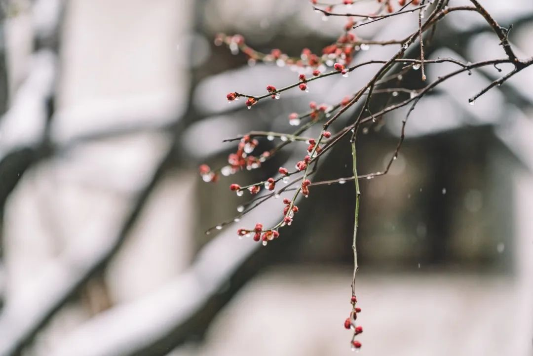 下雨天，5个拍摄技巧营造独特意境感！_绅士次元