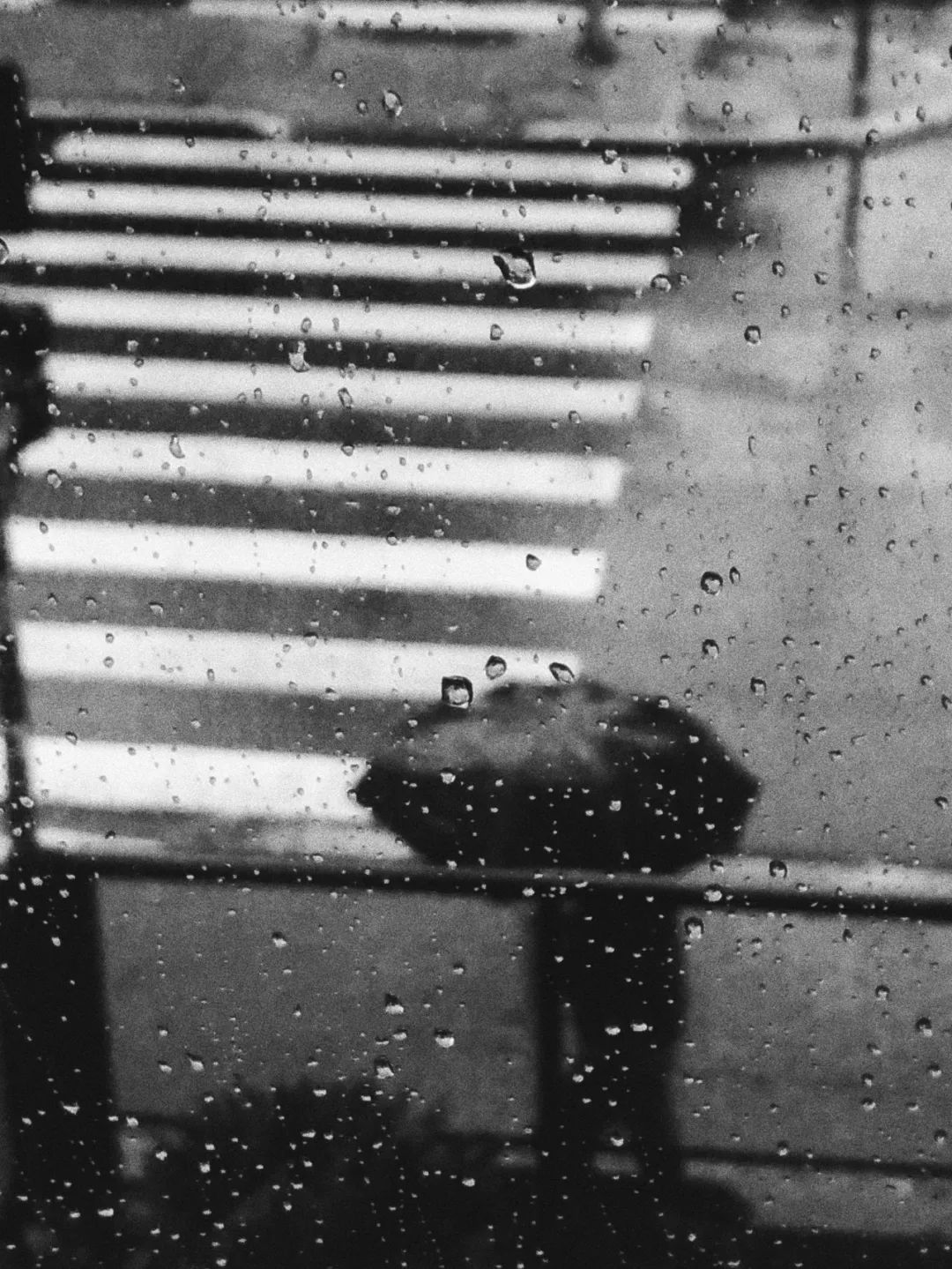 下雨天，5个拍摄技巧营造独特意境感！_绅士次元