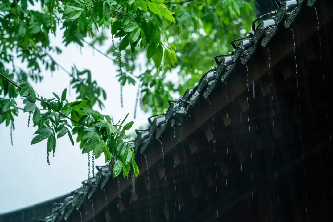 下雨天，5个拍摄技巧营造独特意境感！_绅士次元