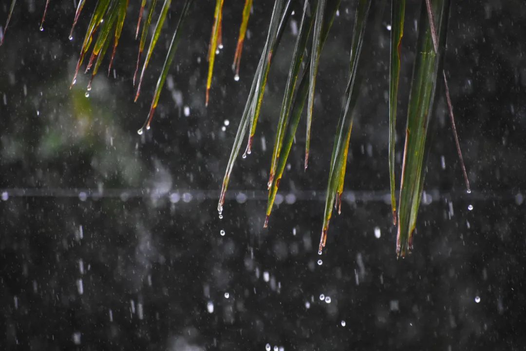 下雨天，5个拍摄技巧营造独特意境感！_绅士次元