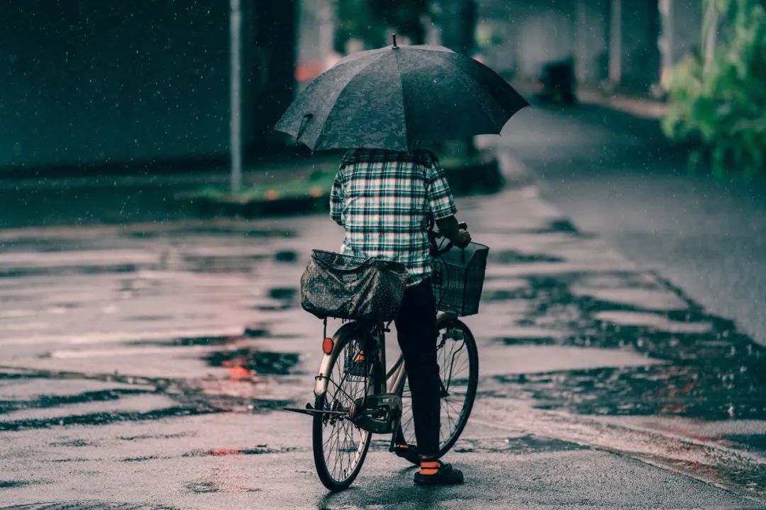 下雨天，5个拍摄技巧营造独特意境感！_绅士次元
