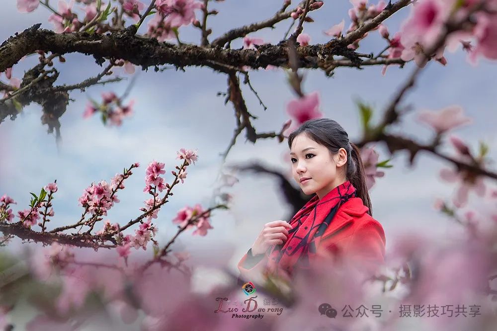 摄影技巧 | 人面挑花相映红_绅士次元