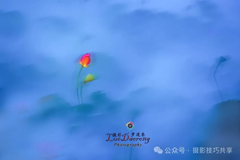 摄影技巧 | 如何获取创作灵感？_绅士次元
