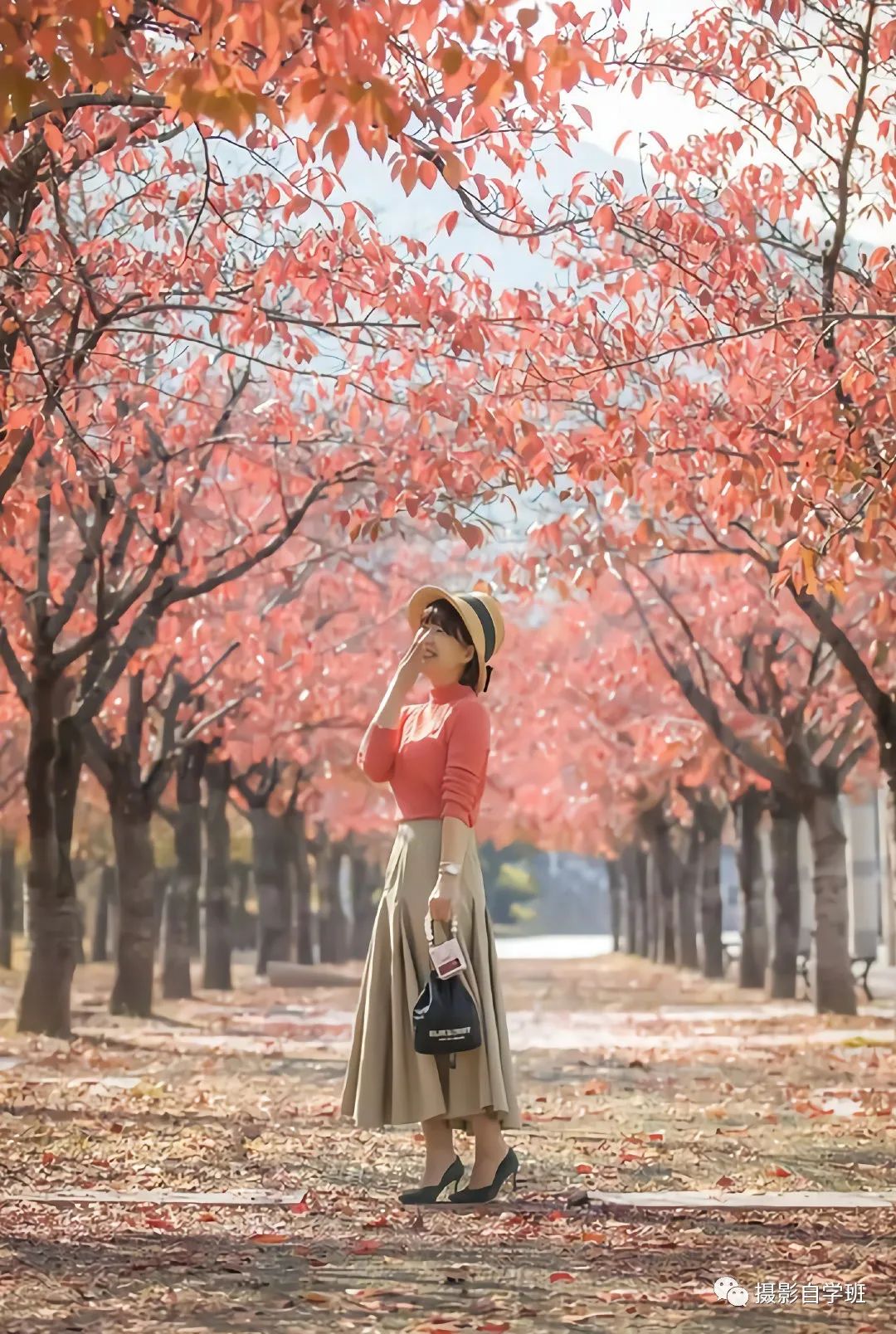 中年阿姨拍照片，实用摄影技巧_绅士次元