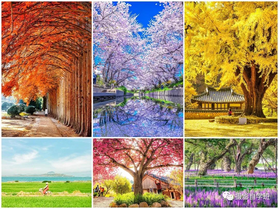夏天风景摄影技巧6个，日常摄影必备_绅士次元