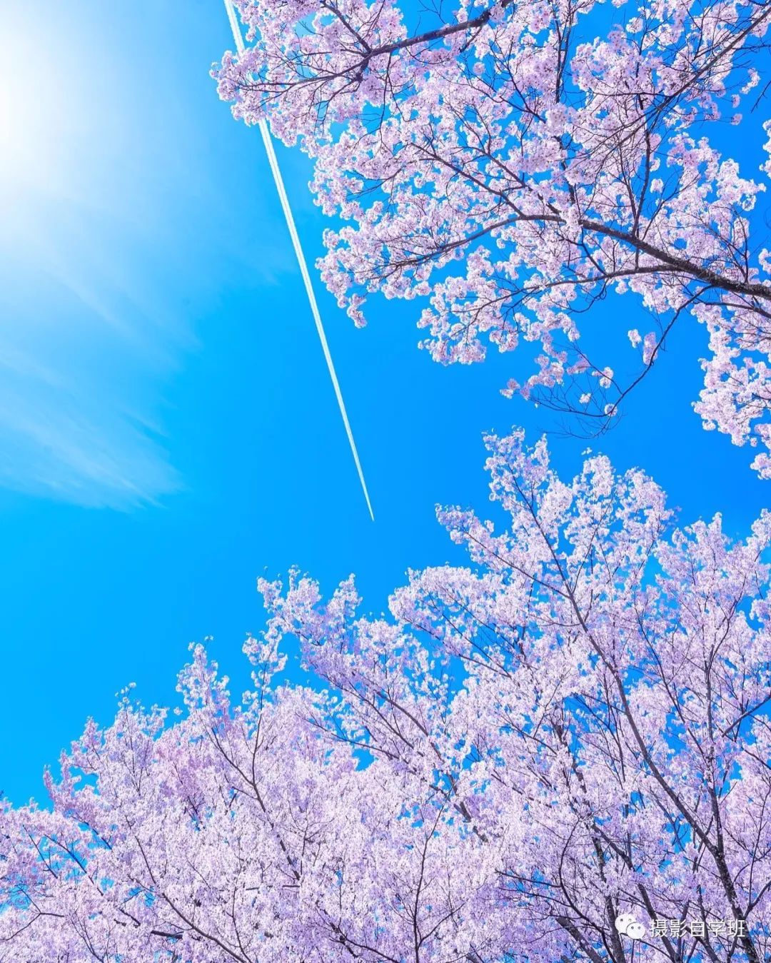 夏天风景摄影技巧6个，日常摄影必备_绅士次元