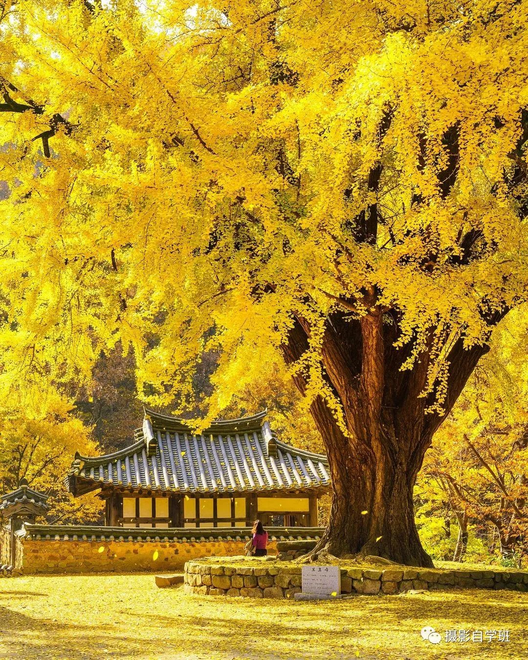 夏天风景摄影技巧6个，日常摄影必备_绅士次元