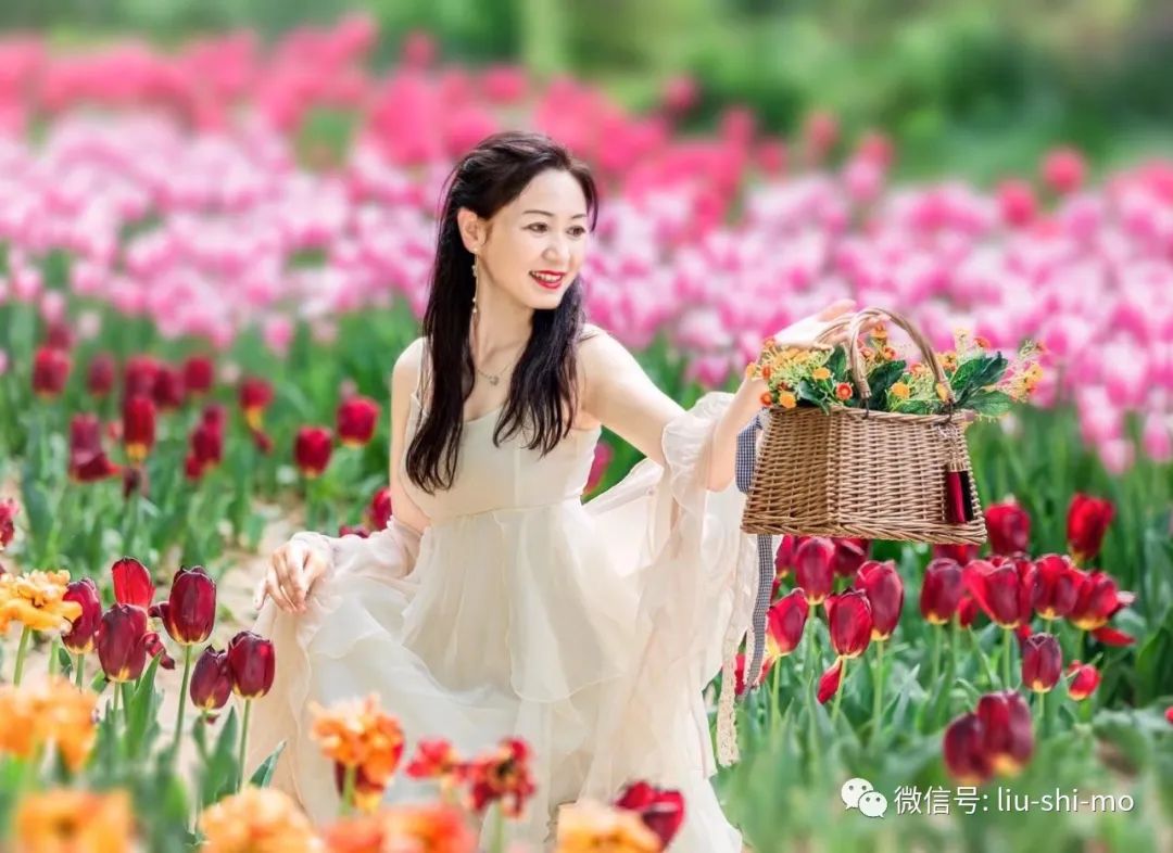 3个摄影技巧，化解中年阿姨“拍照尴尬”，改掉坏习惯拍出好照片_绅士次元