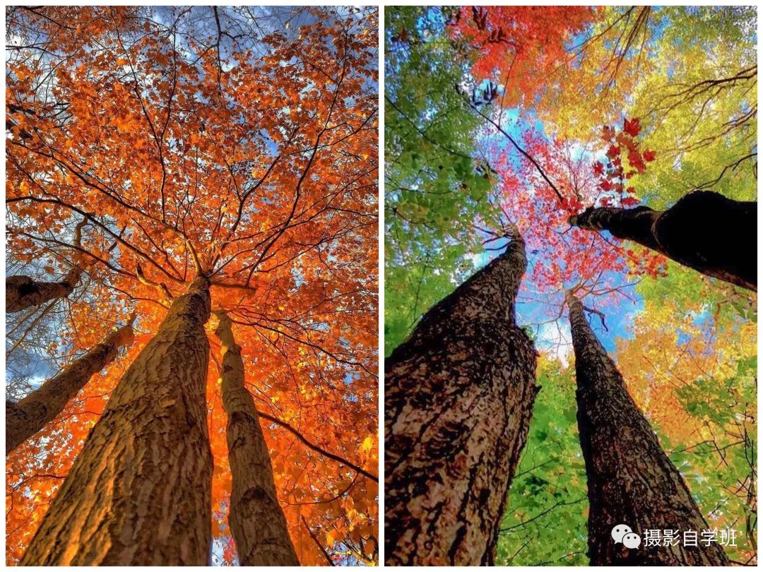 这10个风光摄影技巧，由专业摄影师总结，帮新手也能拍美风景_绅士次元