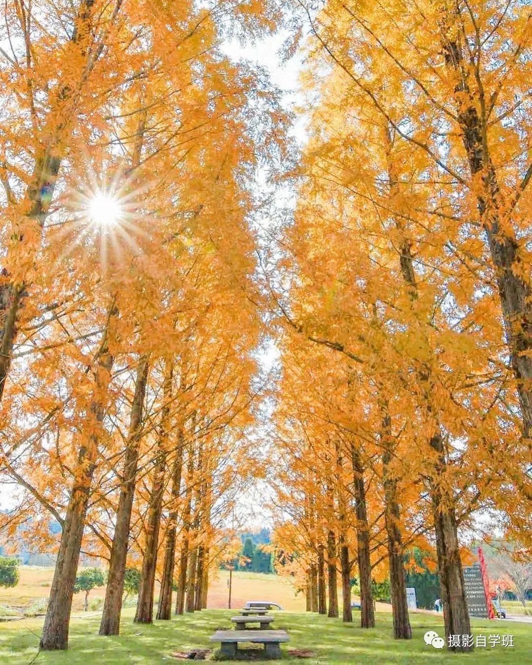 风光摄影不踩坑，用这7个摄影技巧吧，提高出片率_绅士次元
