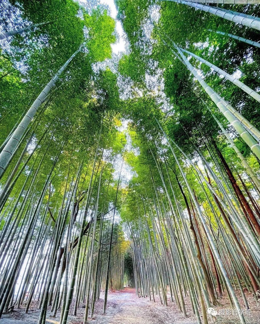 把生活中的风景照片，拍得更好看，用这5个摄影技巧吧_绅士次元