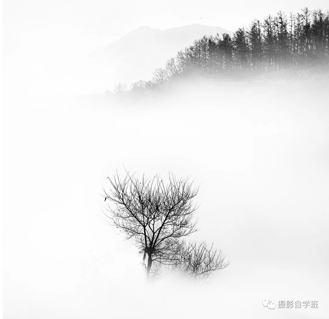 照片怎么拍更高级？8个摄影高级技法，新手一看就会_绅士次元